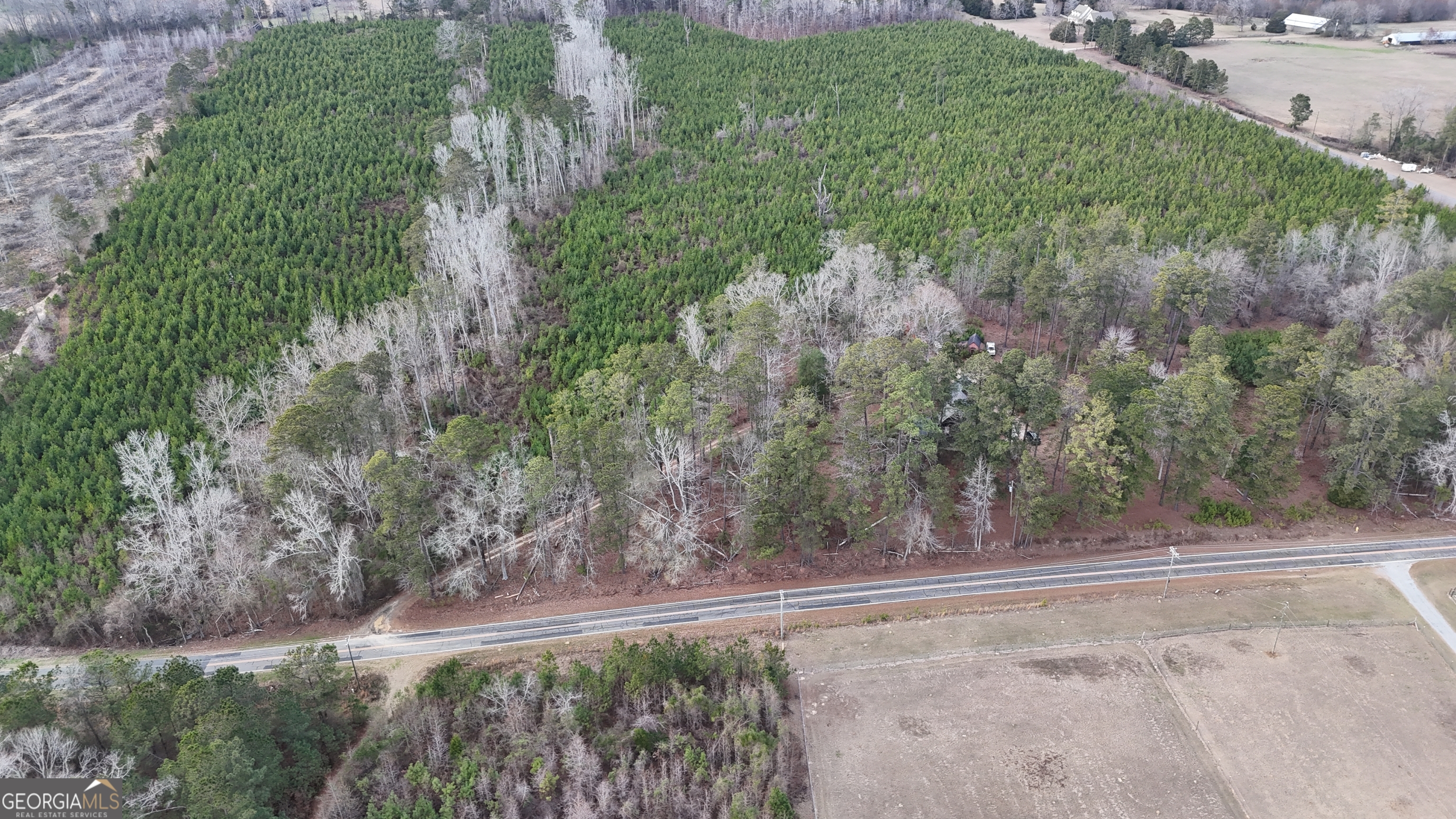 361 Salem Church Road Southwest Milledgeville, GA 31061 - Photo 6 of 23