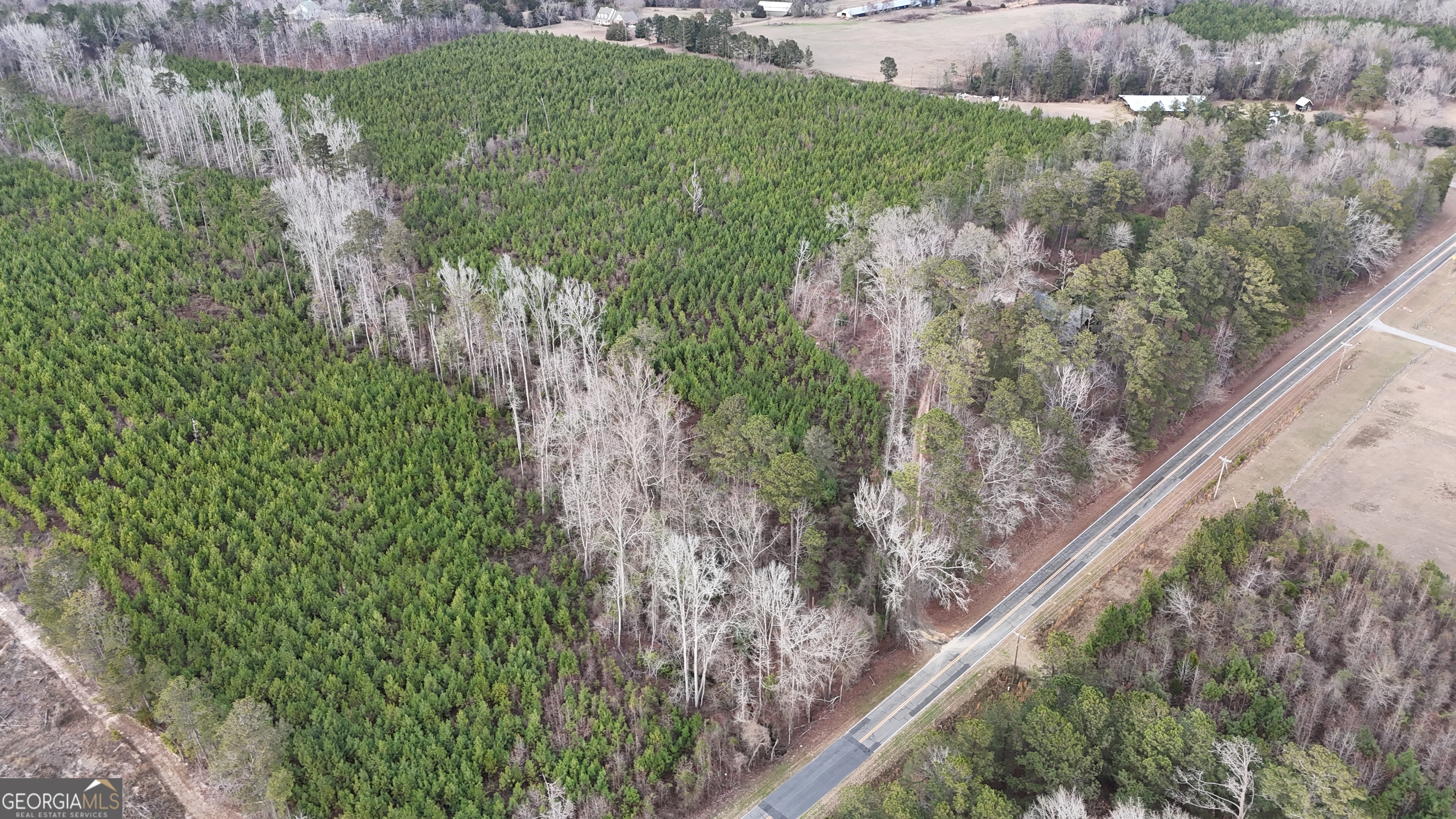 361 Salem Church Road Southwest Milledgeville, GA 31061 - Photo 8 of 23