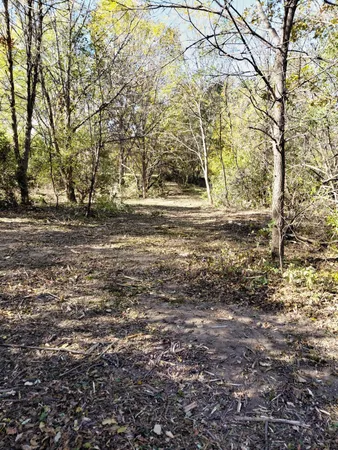 a view of a yard with a trees