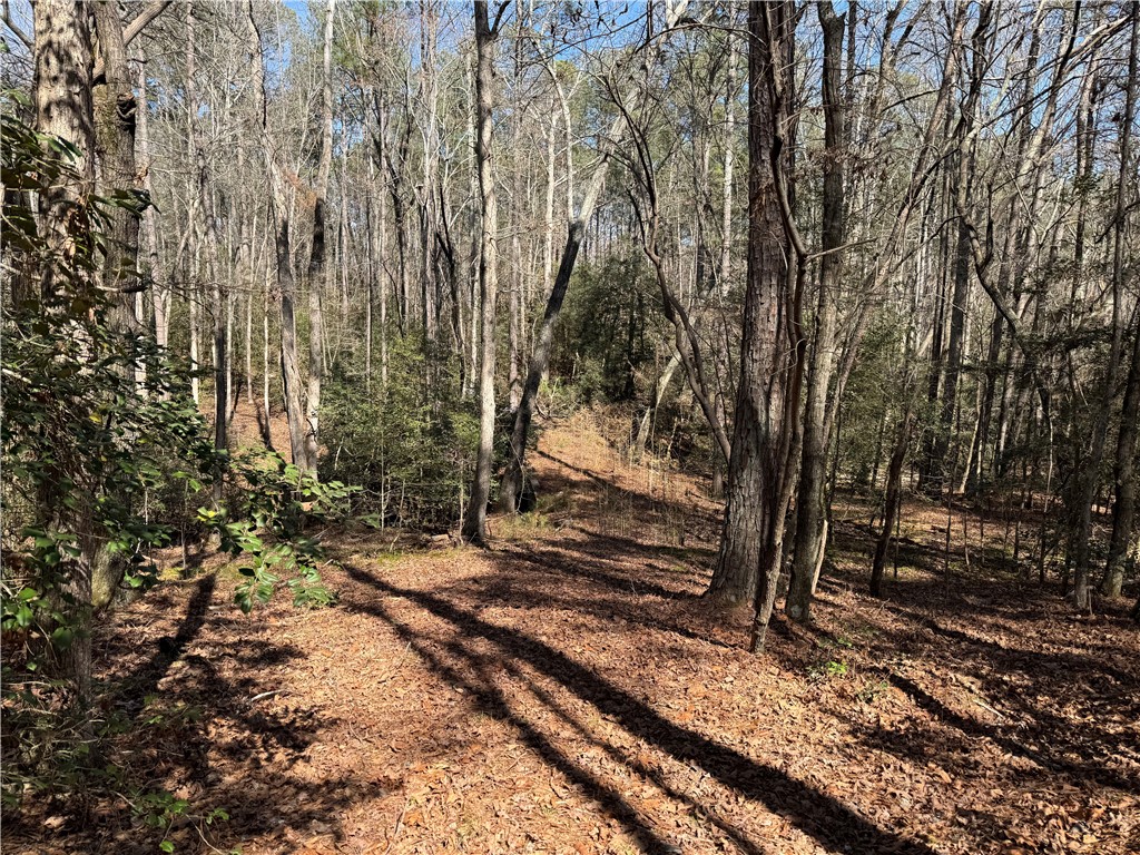 0 Golden Hickory Drive Anderson, SC 29621 - Photo 3 of 22 Mature trees and natural foliage define this expansive wooded parcel, offering serene privacy.