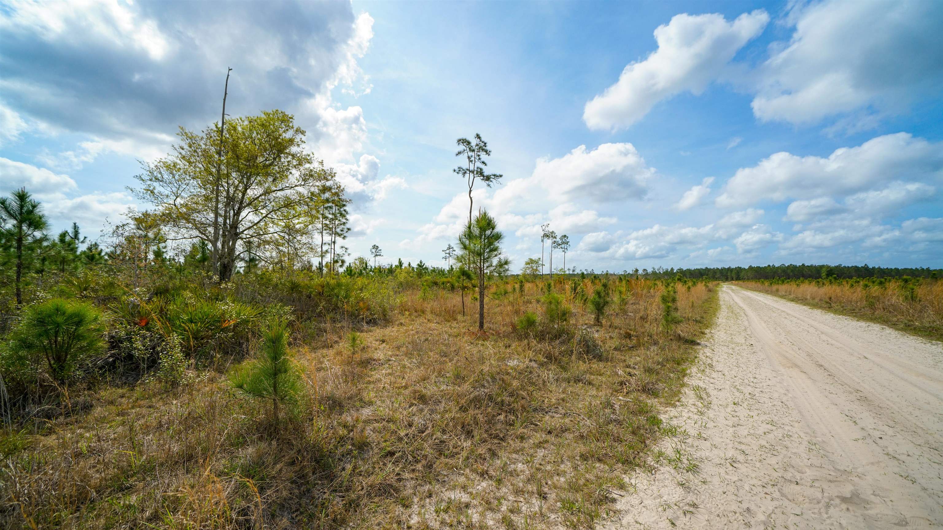 0 Fox Road Palatka, FL 32177 - Photo 10 of 17