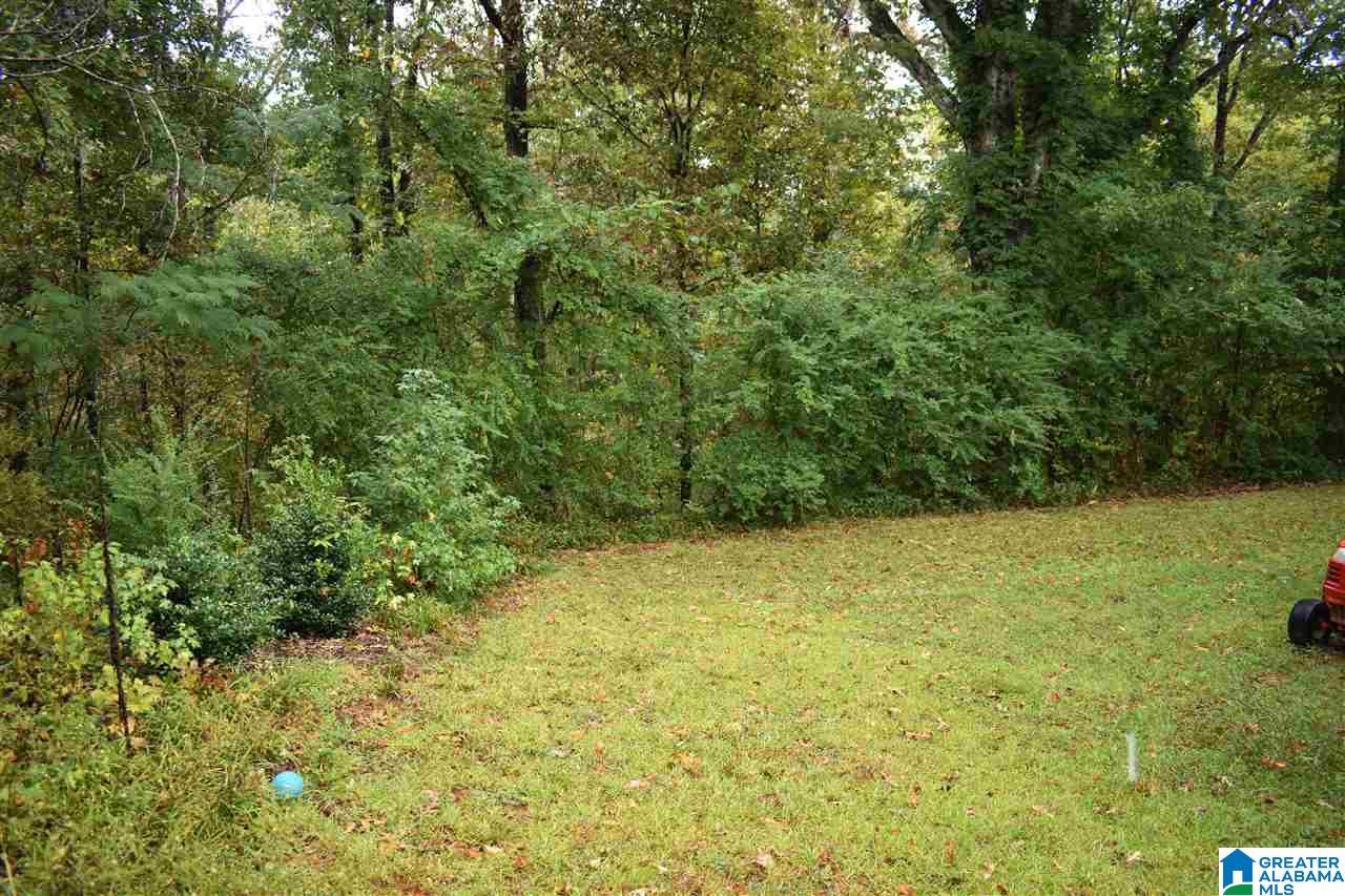 5600 Cruce Road Adamsville, AL 35005 - Photo 41 of 45