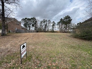 3385 Wooded Lane Conroe, TX 77301 - Photo 1 of 6 a view of basketball court