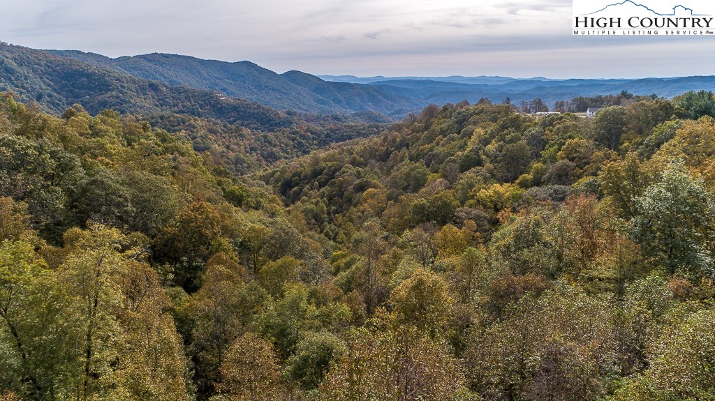 336 Hidden Ridge Road Deep Gap, NC 28618 - Photo 42 of 50 Gallery Image 42