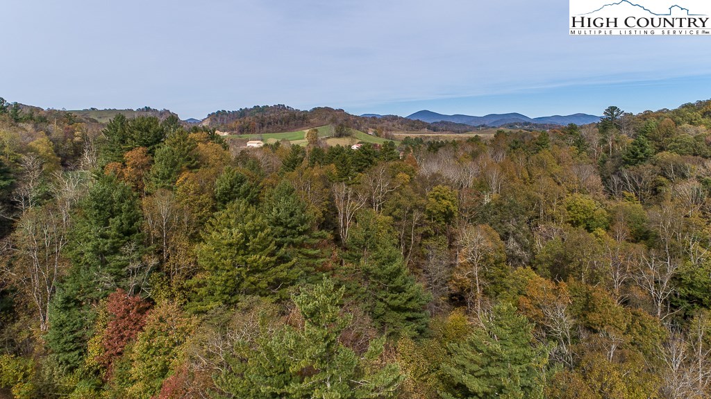336 Hidden Ridge Road Deep Gap, NC 28618 - Photo 43 of 50 Gallery Image 43