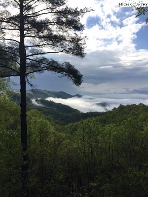 336 Hidden Ridge Road Deep Gap, NC 28618 - Photo 45 of 50 Gallery Image 45
