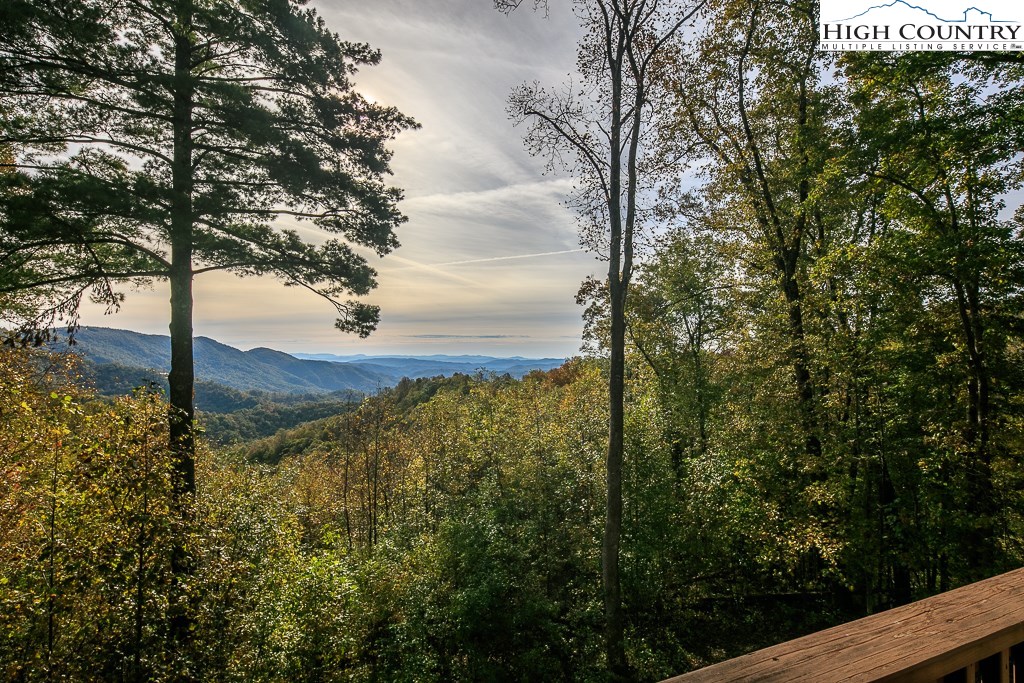 336 Hidden Ridge Road Deep Gap, NC 28618 - Photo 10 of 50 Gallery Image 10