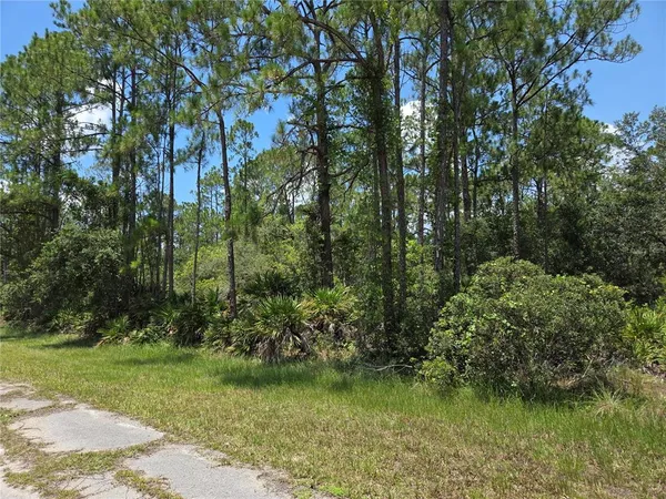 $15,000 | 0 Allamanda Drive, Frostproof, FL 33843