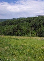 604 Upper Valley Road Tazewell, VA 24651 - Photo 1 of 1 Gallery Image 1