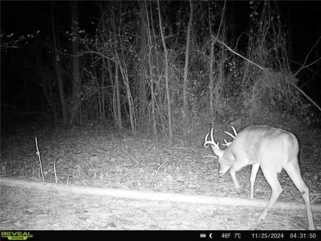 $155,000 | 0 Mixon Road, Tallapoosa, GA 30176