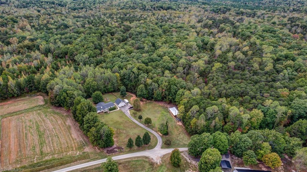 390 Dix Road Ruffin, NC 27326 - Photo 5 of 40