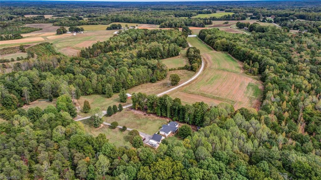 390 Dix Road Ruffin, NC 27326 - Photo 6 of 40