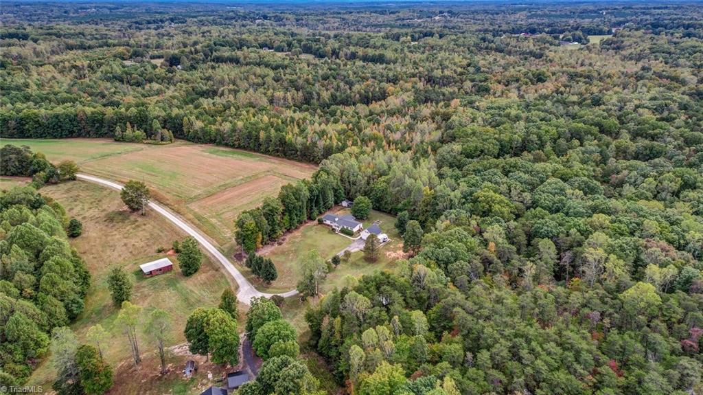 390 Dix Road Ruffin, NC 27326 - Photo 7 of 40