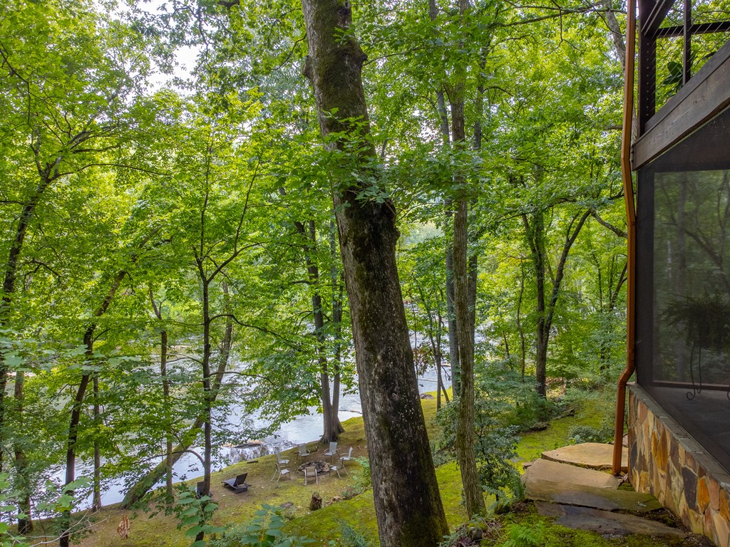 345 Mission Dam Road Hayesville, NC 28904 - Photo 44 of 93 Gallery Image 44
