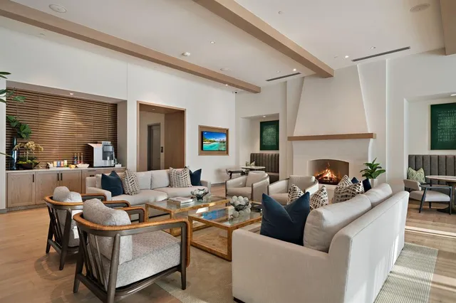 a living room with furniture potted plant and a fireplace