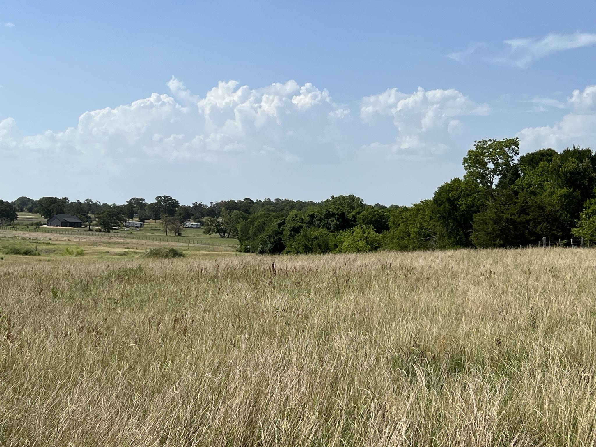5503 Fm 149 Street Anderson, TX 77830 - Photo 11 of 17 a view of lake with green space