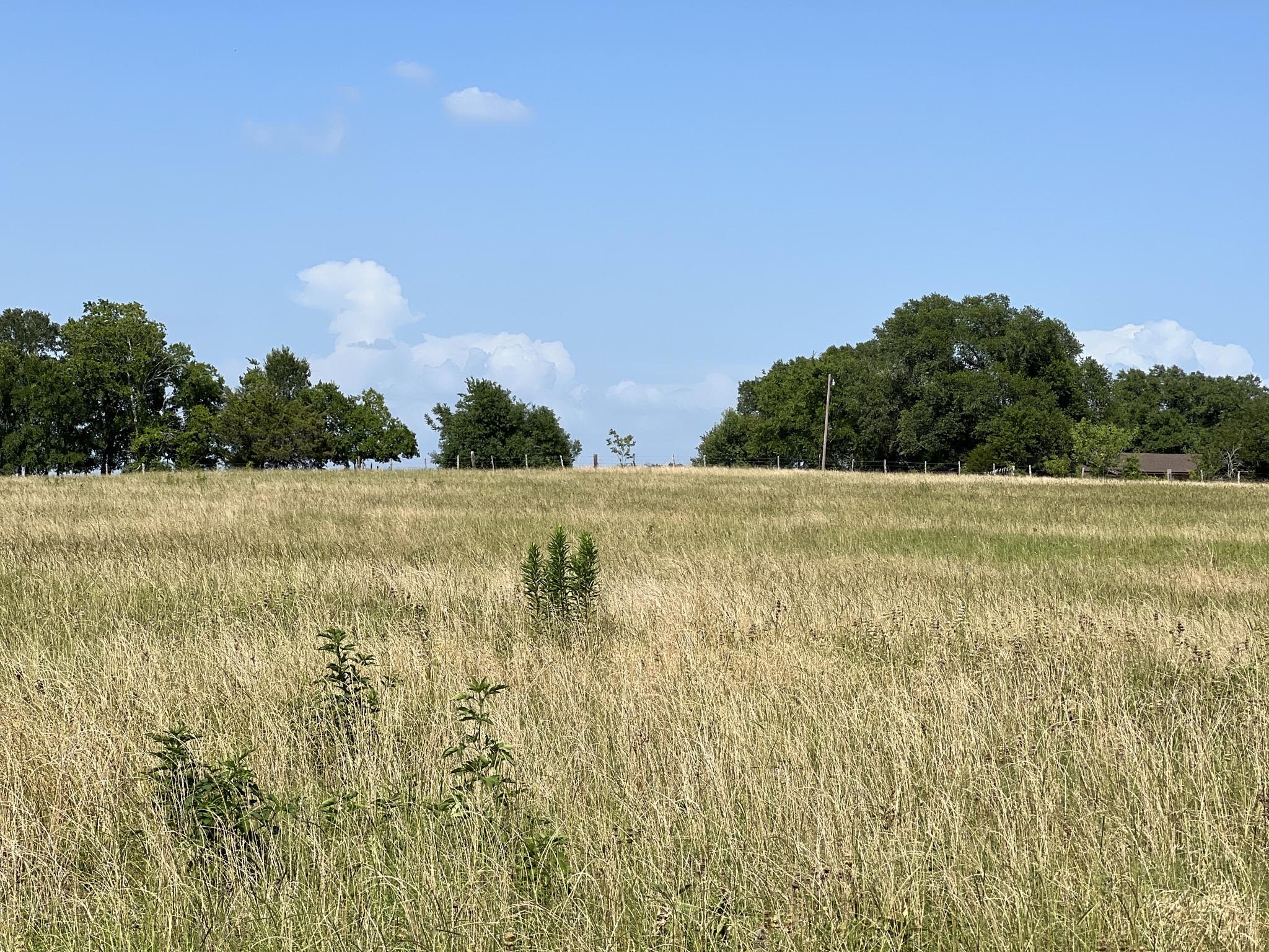 5503 Fm 149 Street Anderson, TX 77830 - Photo 15 of 17 a view of a lake view