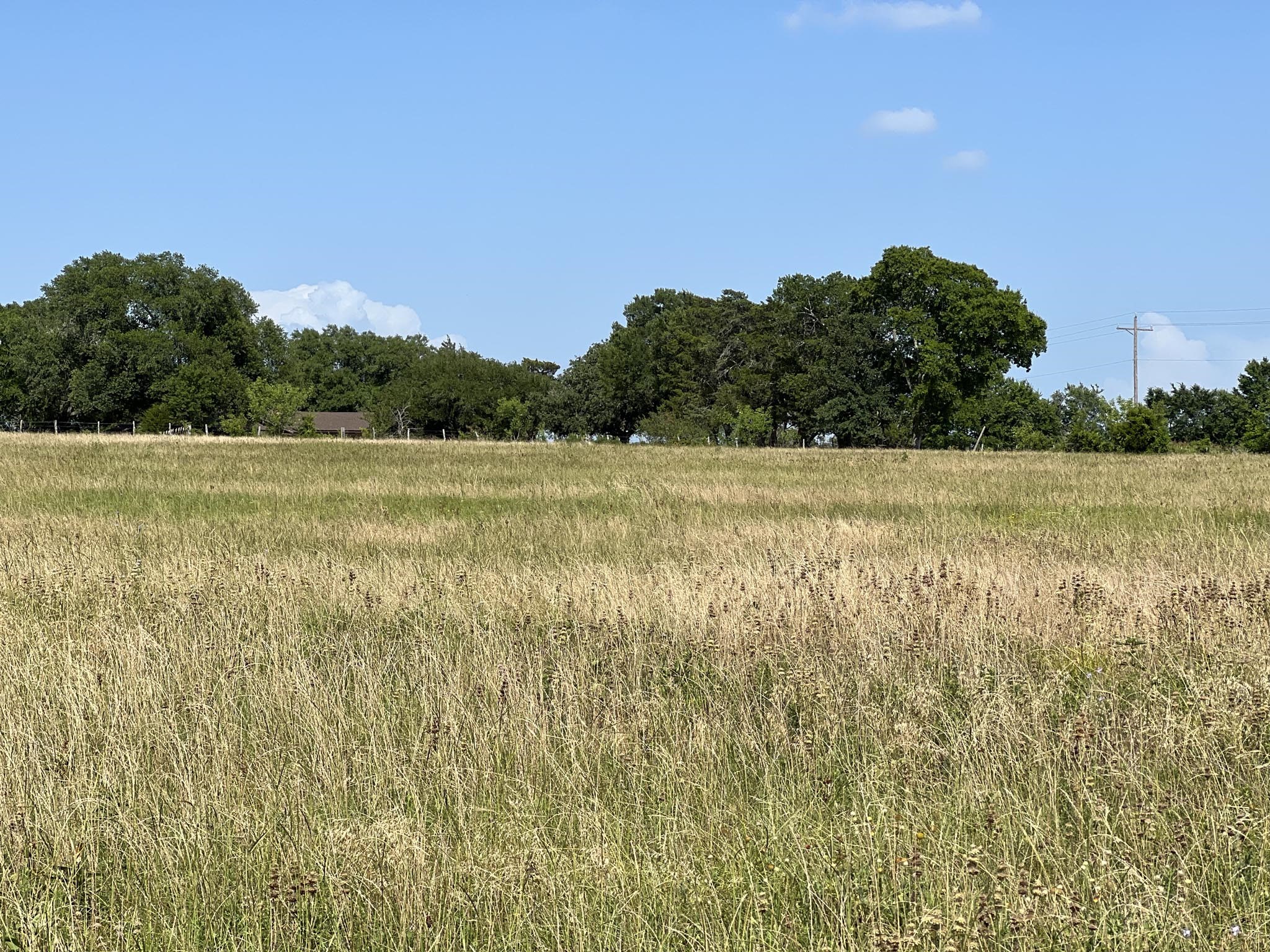 5503 Fm 149 Street Anderson, TX 77830 - Photo 5 of 17 a view of an ocean and beach