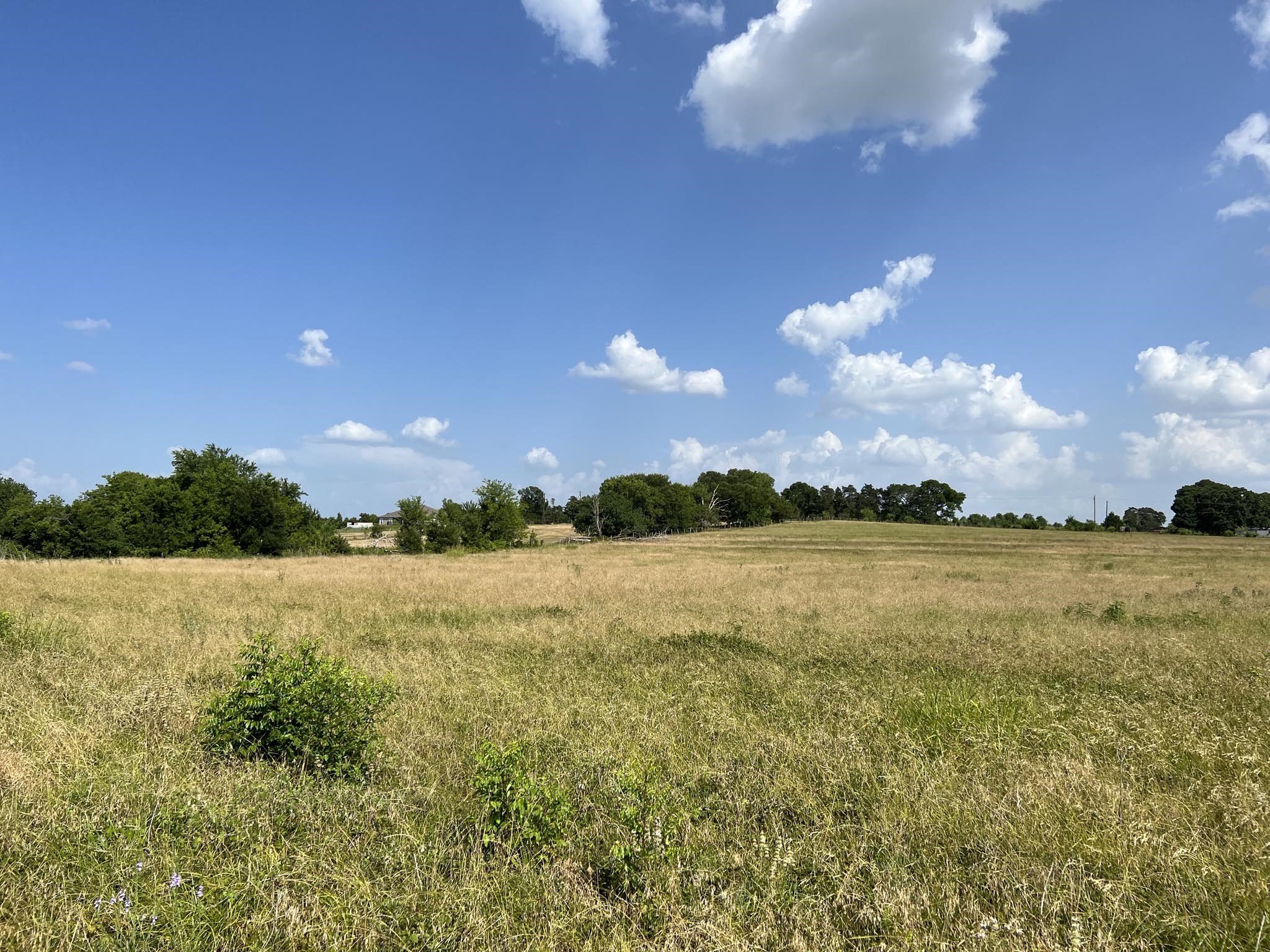 5503 Fm 149 Street Anderson, TX 77830 - Photo 7 of 17 a view of an ocean and a building