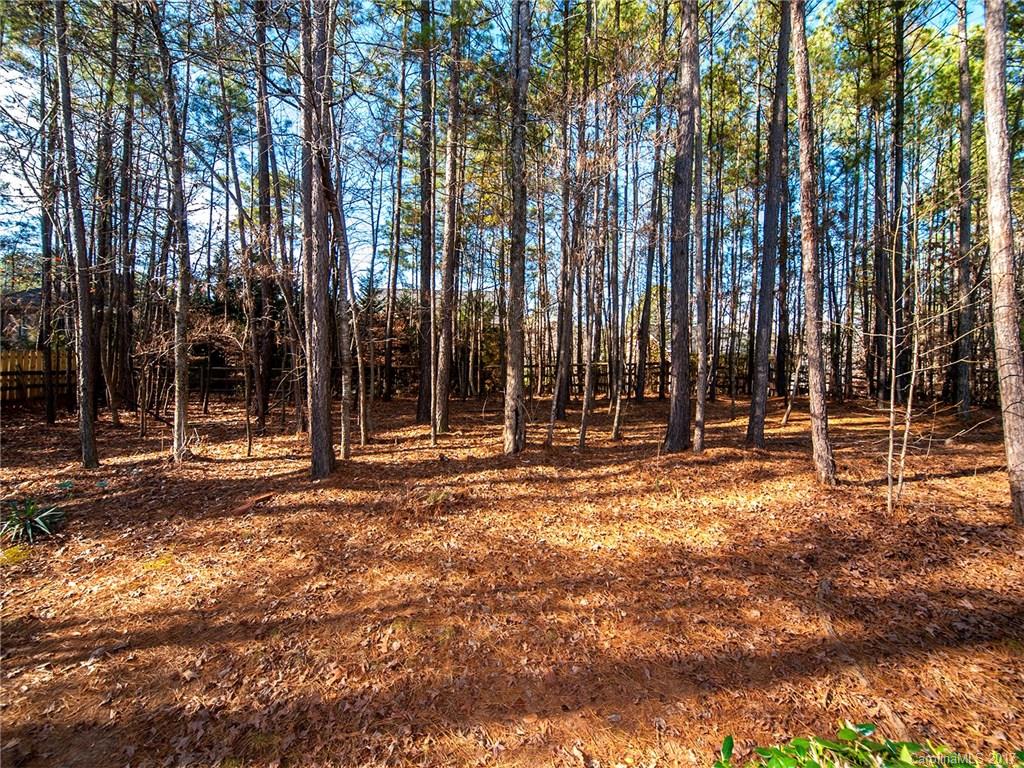 1308 Golden Ridge Road Lake Wylie, SC 29710 - Photo 24 of 24 Gallery Image 24