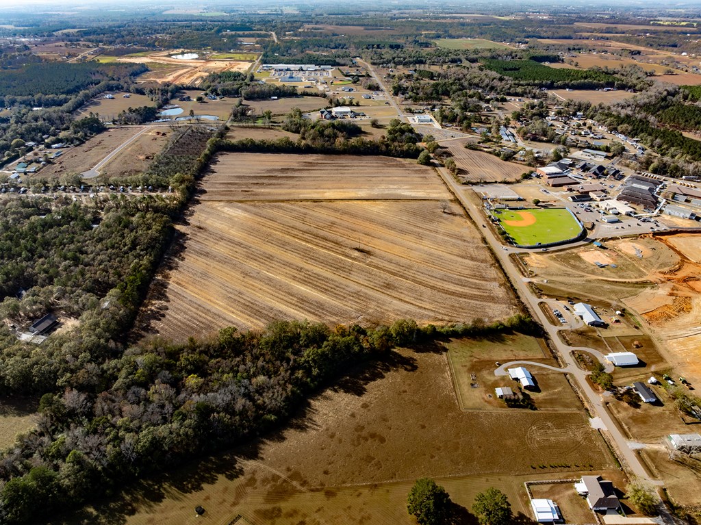 51.8-ac Hadden Road Dothan, AL 36301 - Photo 3 of 43