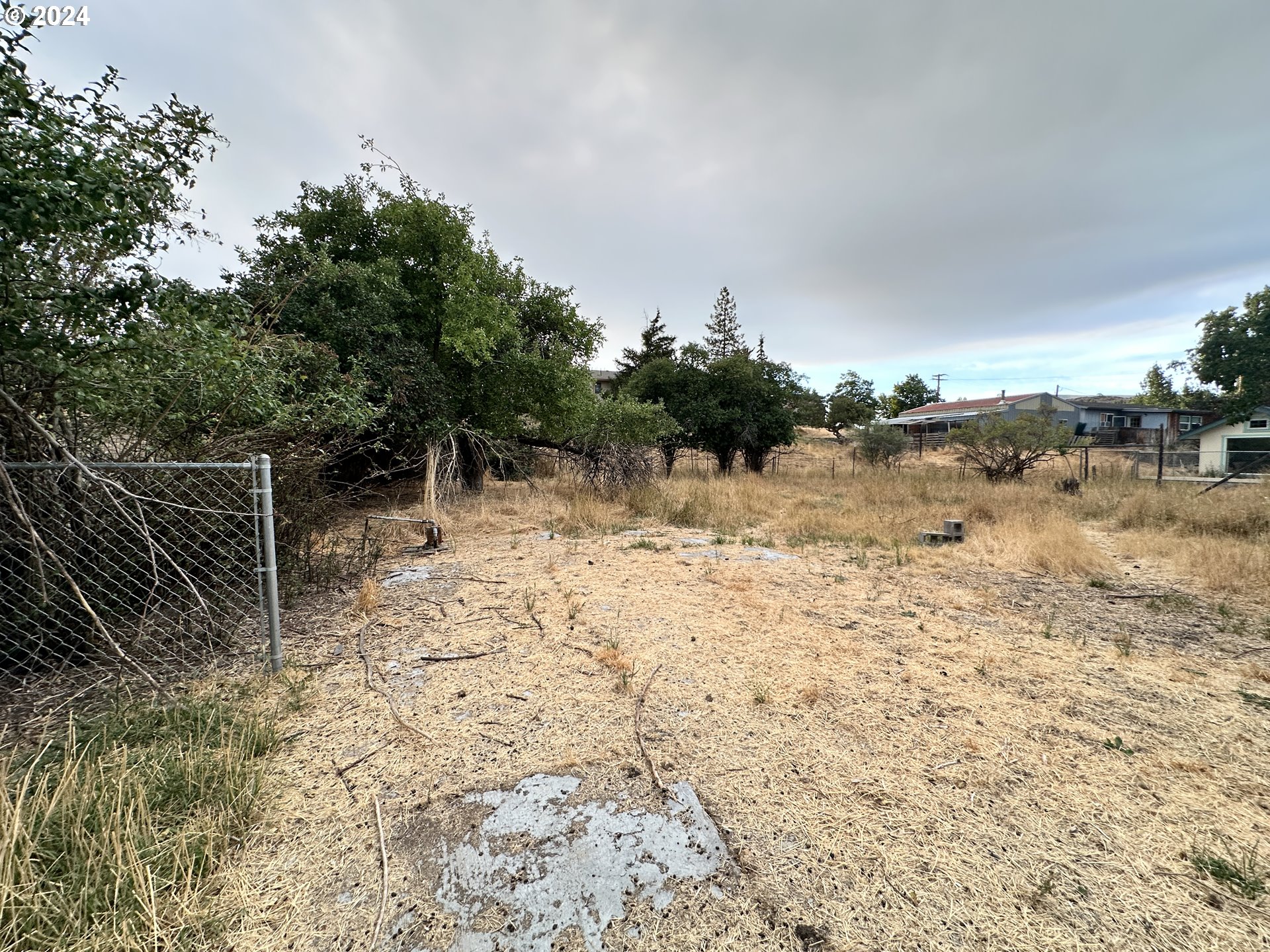 1175 Washington Street Fossil, OR 97830 - Photo 5 of 14 a view of a yard with trees