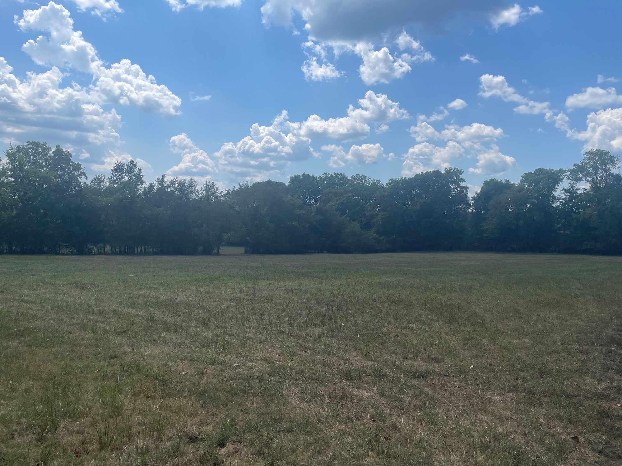 3107 North Cross Bridges Road Columbia, TN 38401 - Photo 23 of 26 Gallery Image 23