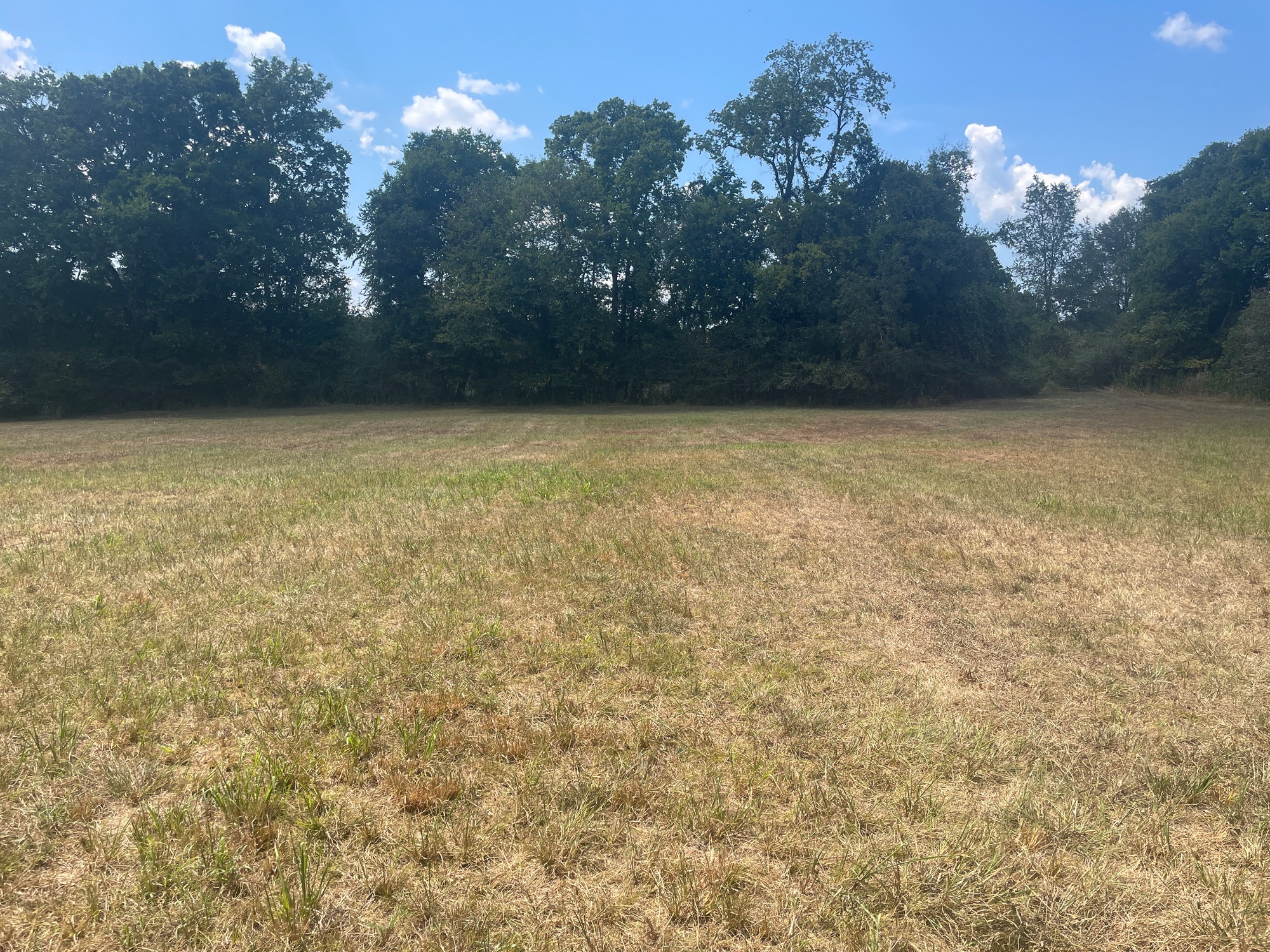 3107 North Cross Bridges Road Columbia, TN 38401 - Photo 26 of 26 Gallery Image 26