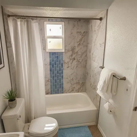 a bathroom with a toilet and a bathtub