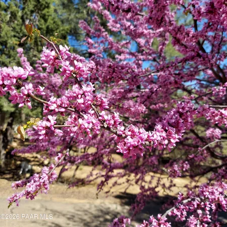 $995,000 | 1621 Spruce Canyon Drive, Prescott, AZ 86303