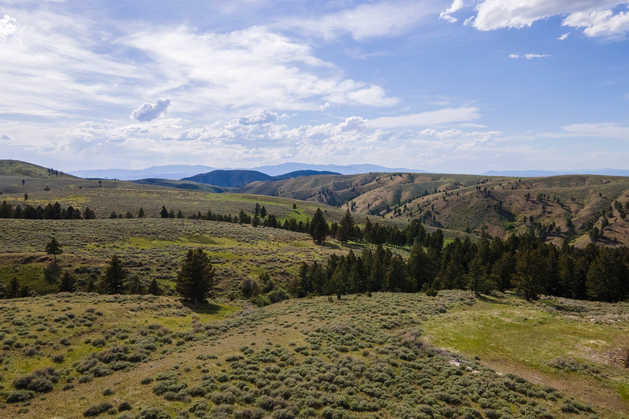 386 Ross Gulch Road Townsend, MT 59644 - Photo 38 of 46 Gallery Image 38