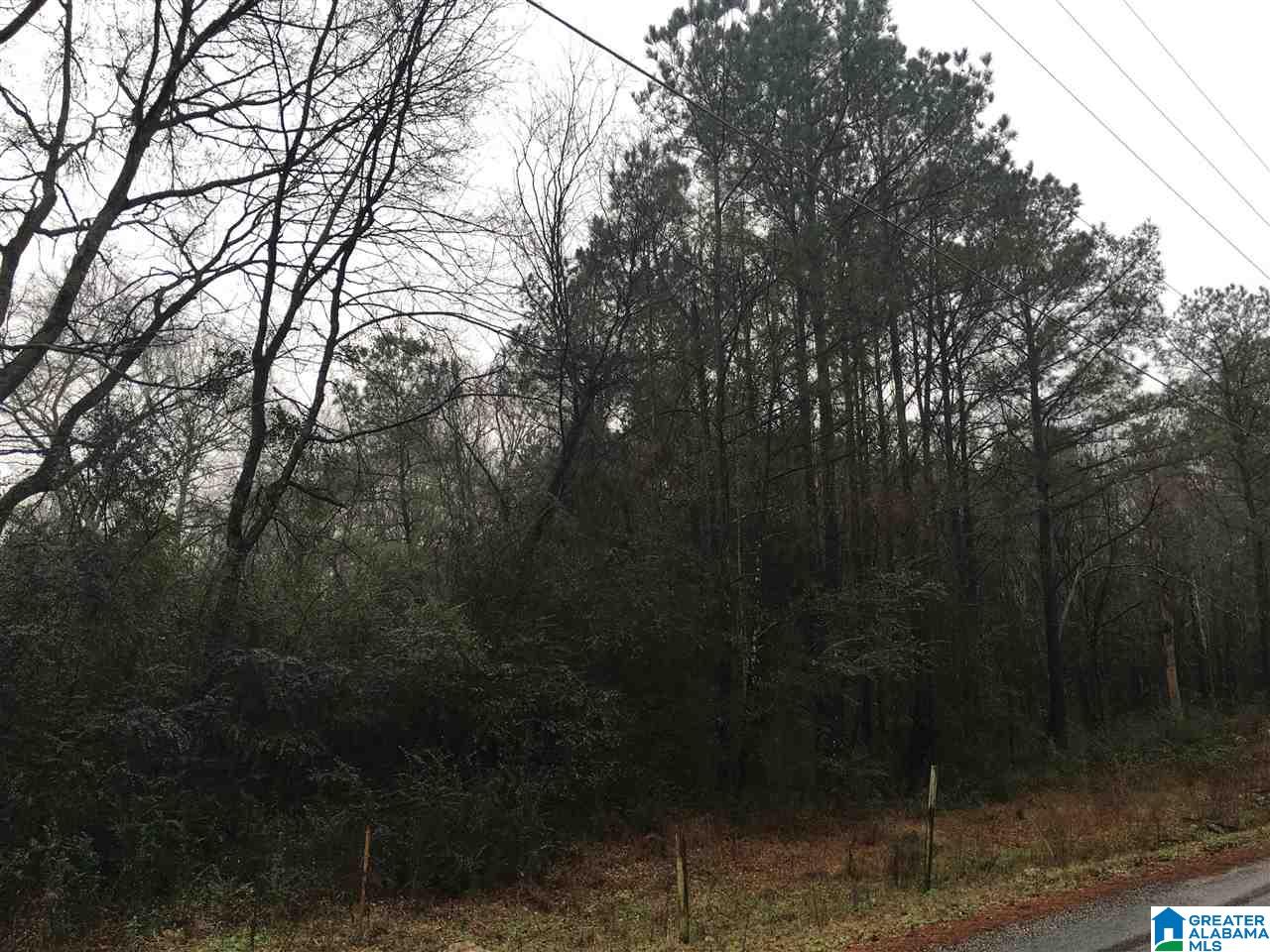 1245 Eureka Road, Unit 2 Lincoln, AL 35096 - Photo 12 of 32