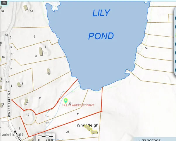 a view of a lake in middle of forest