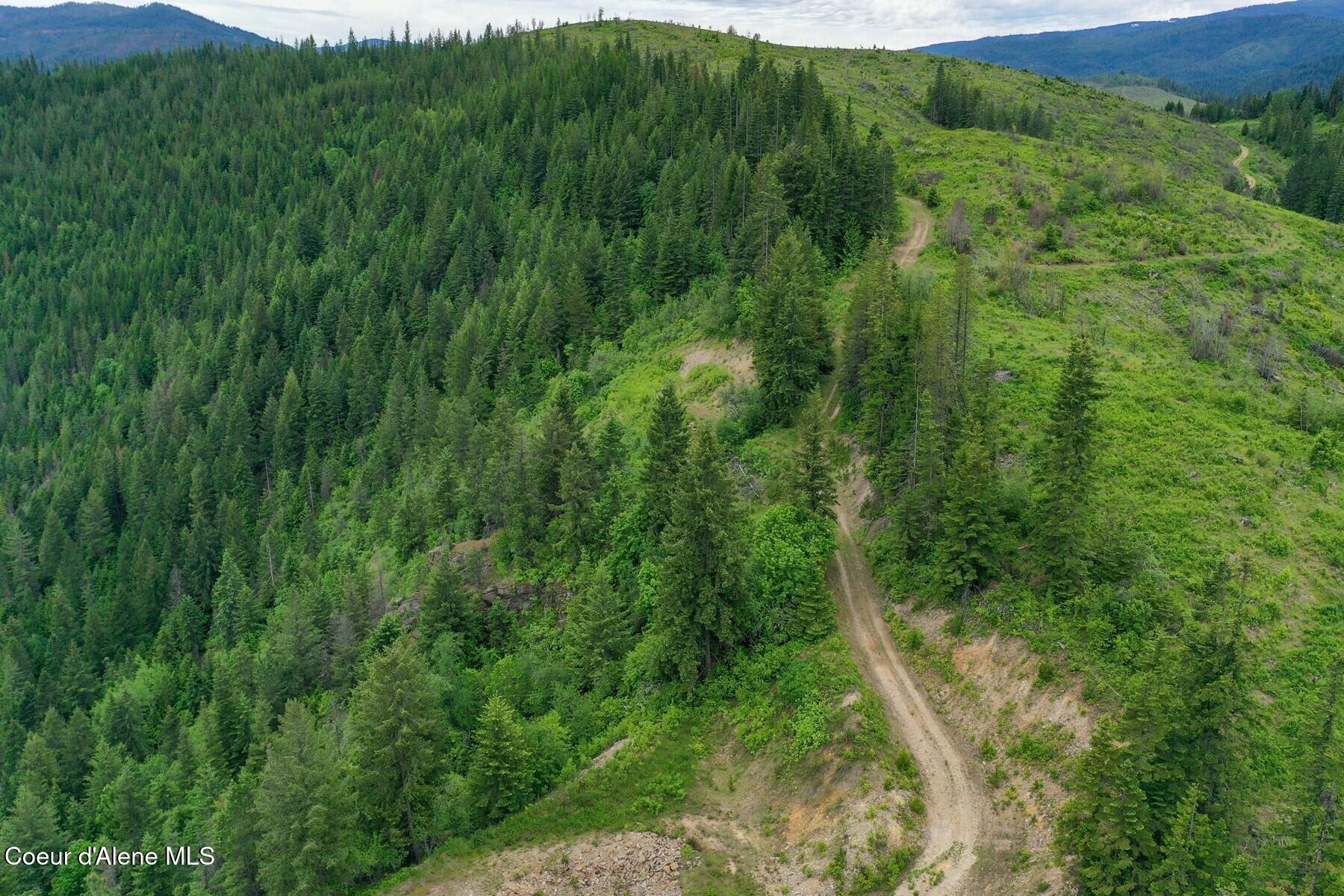Nka Nka Coeur D'alene River Road Wallace, ID 83873 - Photo 23 of 41 Mountain Terrain