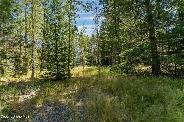 $739,000 | Nka Nka Coeur D'alene River Road, Wallace, ID 83873