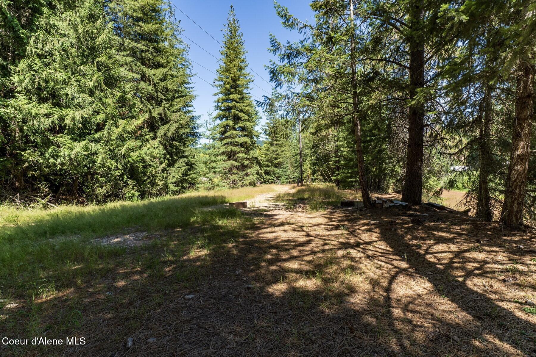 Nka Nka Coeur D'alene River Road Wallace, ID 83873 - Photo 39 of 41 Trees