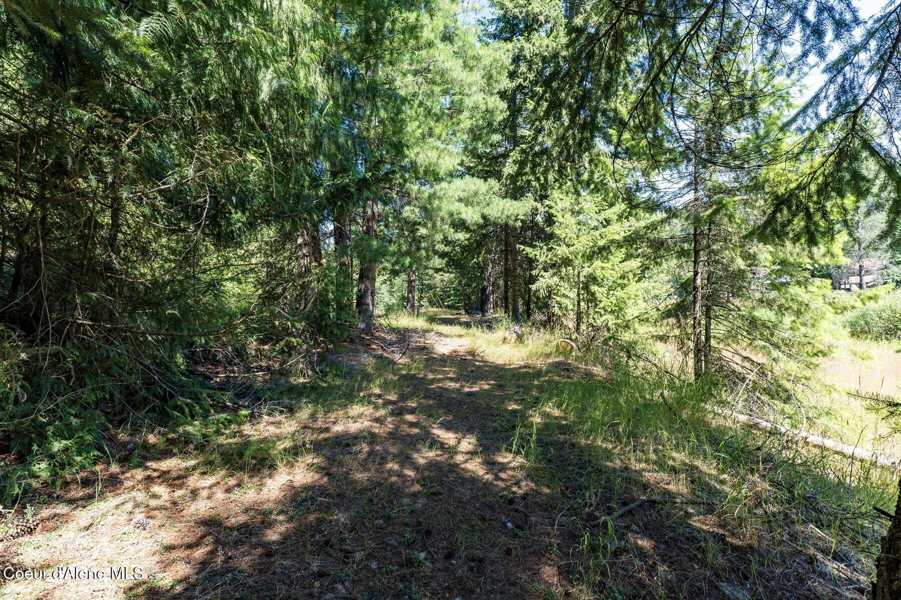 Nka Nka Coeur D'alene River Road Wallace, ID 83873 - Photo 40 of 41 Trails and Trees