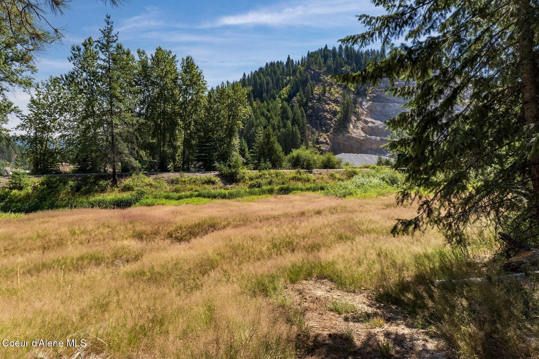Nka Nka Coeur D'alene River Road Wallace, ID 83873 - Photo 8 of 41 Meadow Area