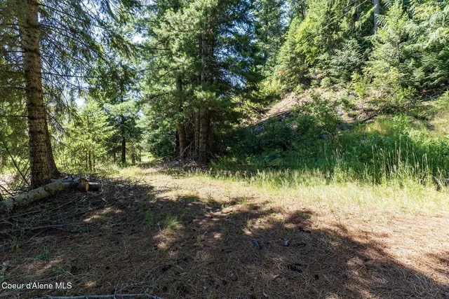 $739,000 | Nka Nka Coeur D'alene River Road, Wallace, ID 83873