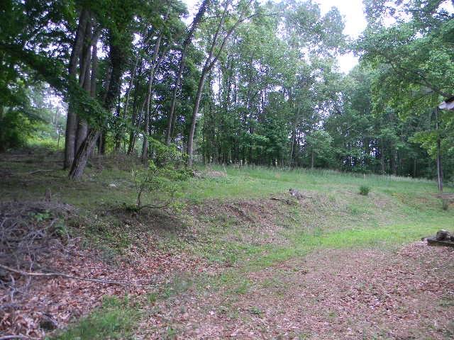 1750 Gilmer Branch Road Boones Mill, VA 24065 - Photo 2 of 14 Back yard