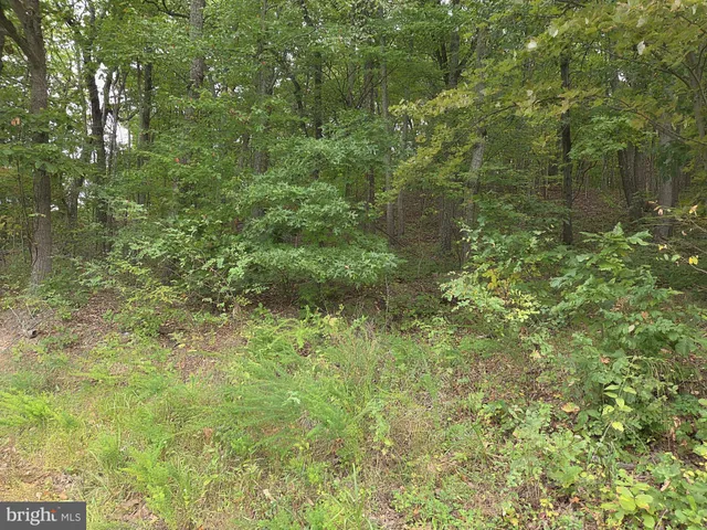 a view of a lake view with houses