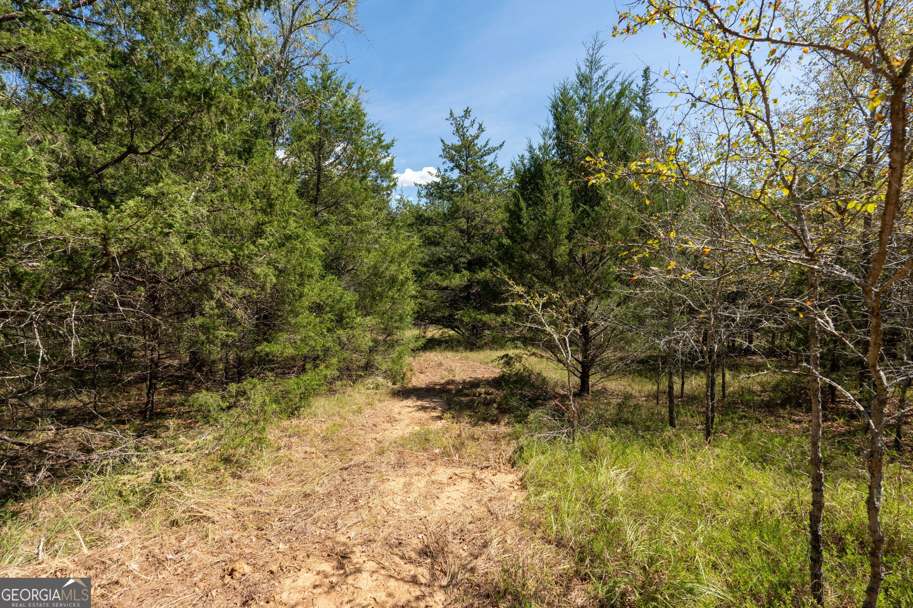1419 Bobby Brown State Park Road Elberton, GA 30635 - Photo 37 of 90 Gallery Image 37