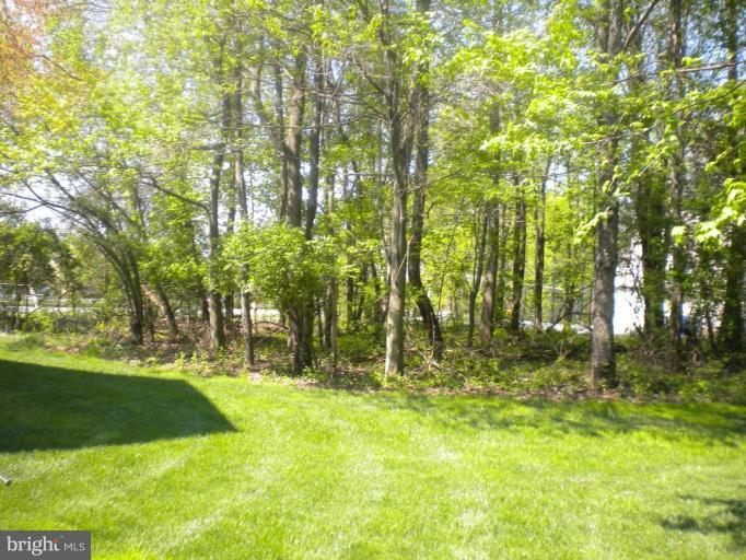15515 Thompson Road Silver Spring, MD 20905 - Photo 4 of 24 Garden