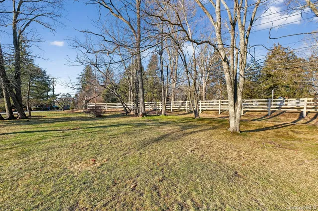 a view of yard with tree