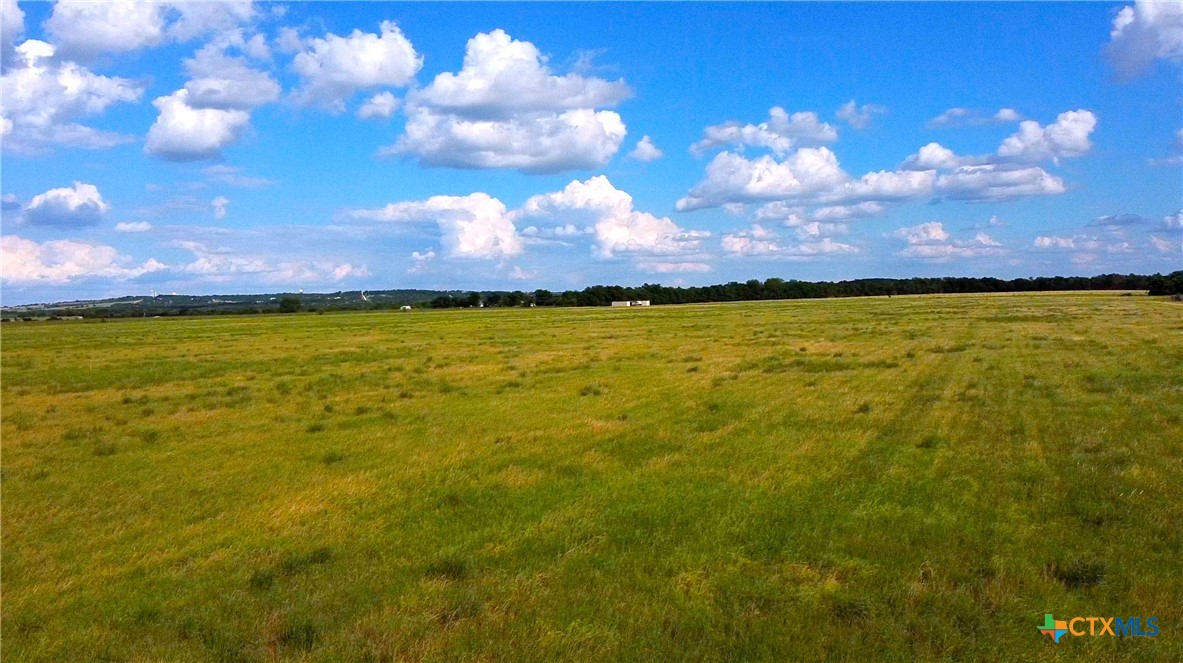 13425 Reeds Lake Loop Rogers, TX 76569 - Photo 4 of 6 a view of a yard with swimming pool