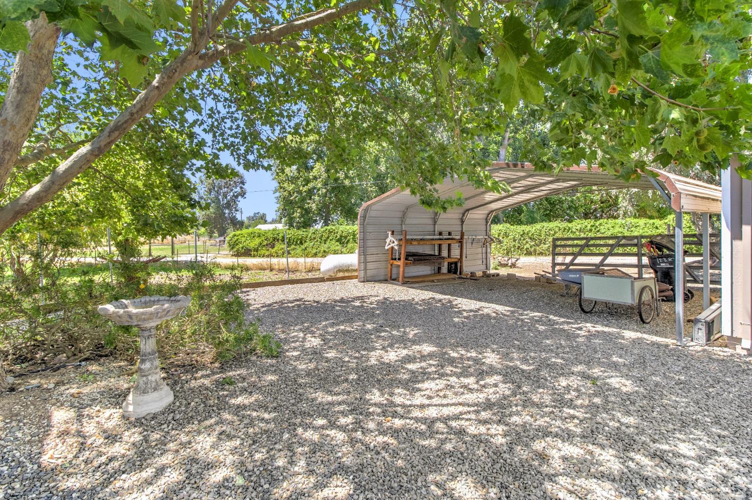 12390 Hobday Road Wilton, CA 95693 - Photo 62 of 92 a view of a big yard with table and chairs a barbeque and a large tree