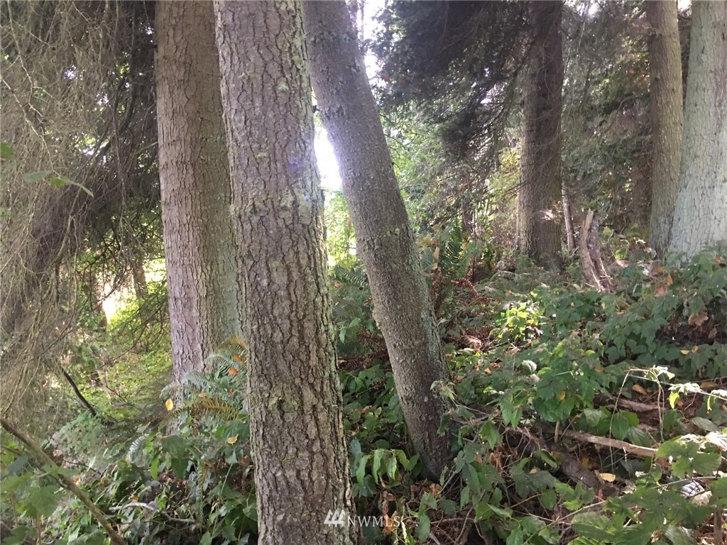 29-xx Oak Bay Road Port Hadlock, WA 98339 - Photo 6 of 14 Gallery Image 6
