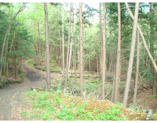 185 Call Road Colrain, MA 01340 - Photo 11 of 12 a view of backyard from a room
