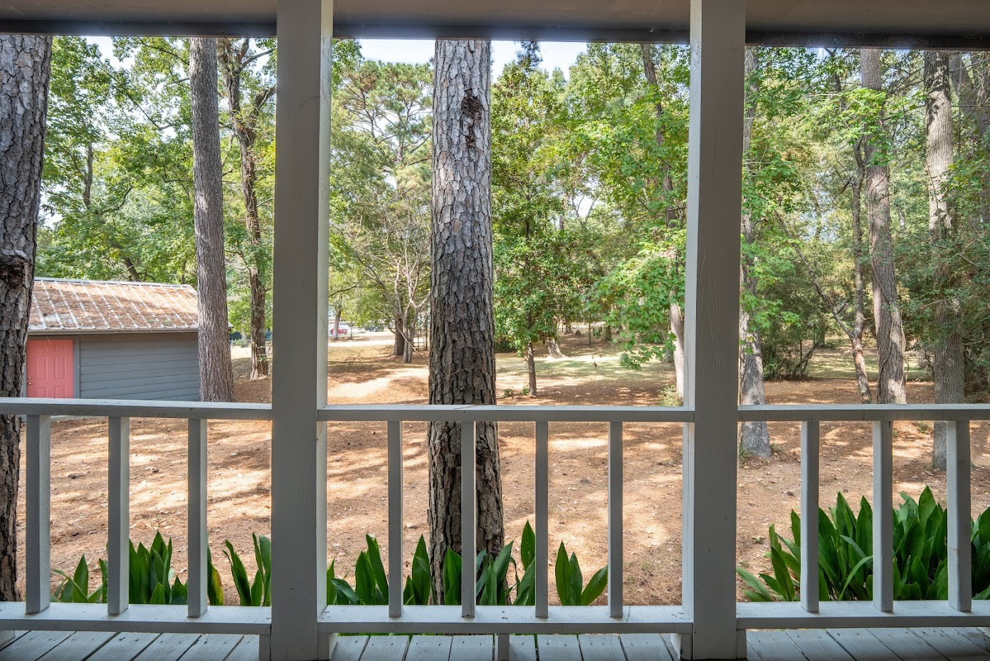 565 Timber Bay Drive Trinity, TX 75862 - Photo 8 of 49 Looking out over the yard