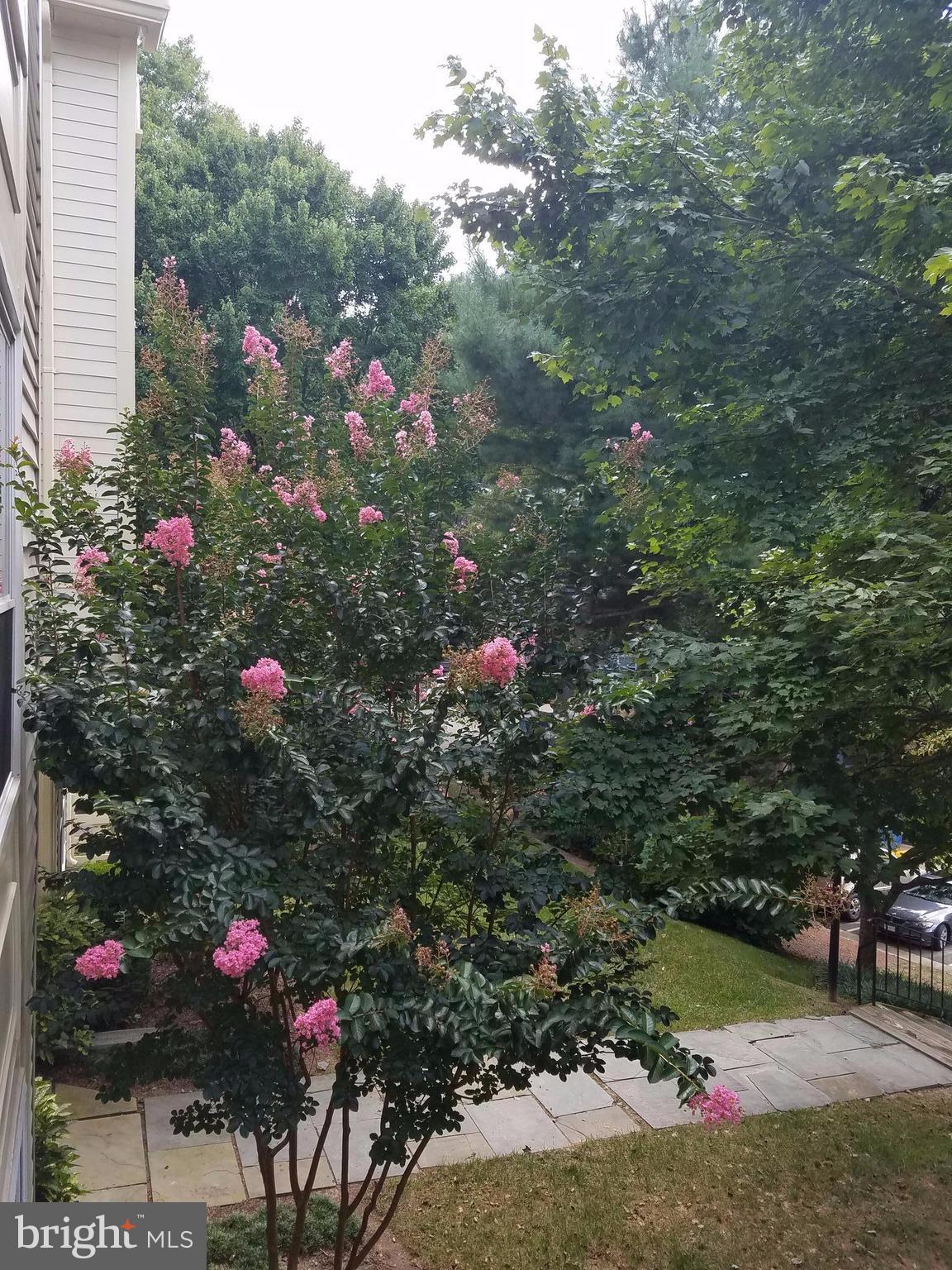 2224 Springwood Drive, Unit 110A Reston, VA 20191 - Photo 8 of 13 Exterior (Rear)